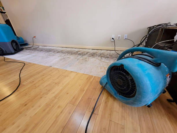 Professional Burst Pipe Water Damage technician working in Barnesville, MN